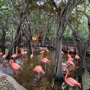 Meet your Posher, Marilis